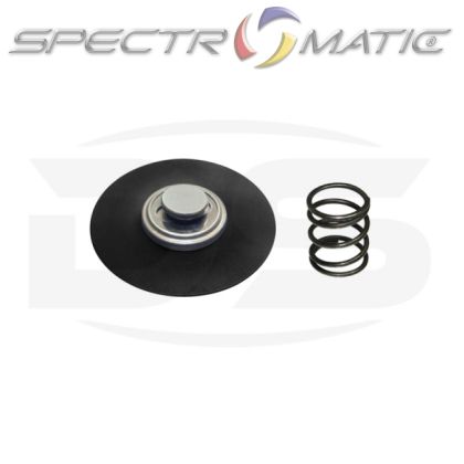 DS1407 - KIT DIAPHRAGM MONOTRONIC VW GOLF FIAT TIPO PEUGEOT 106 SEAT CORDOBA IBIZA