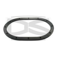 DS1453 - sealing ring